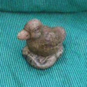 Duckling Head Down